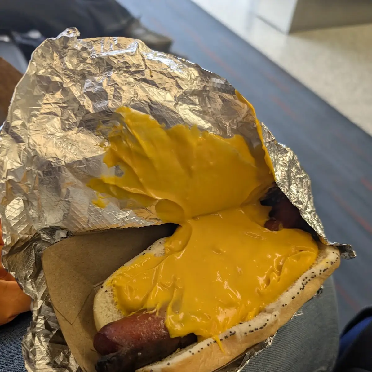 Cheese Dog