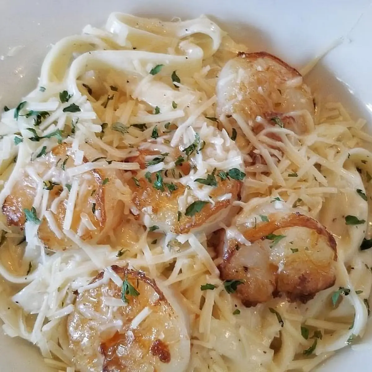 Shrimp Alfredo