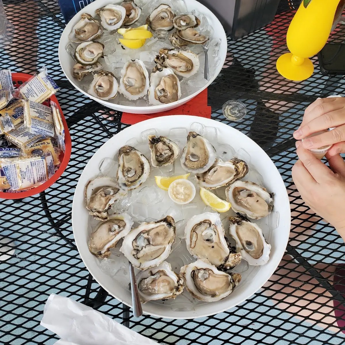 Raw Oysters on the Half Shell