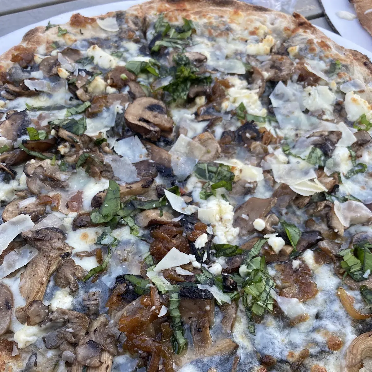 Mushroom Pizza
