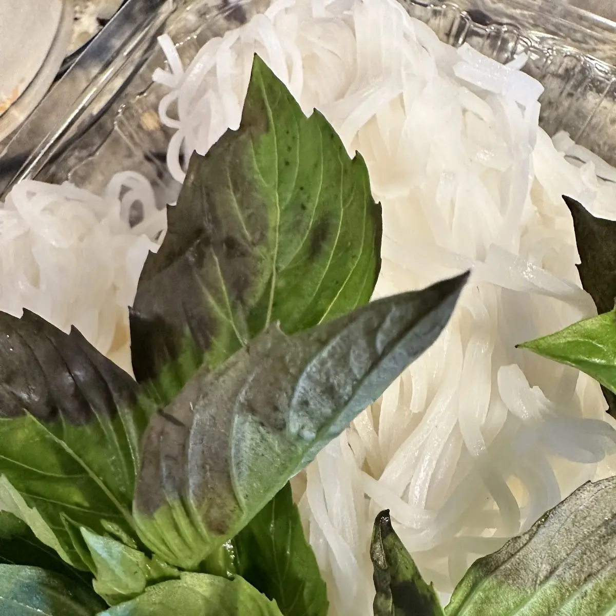 Pho Tai