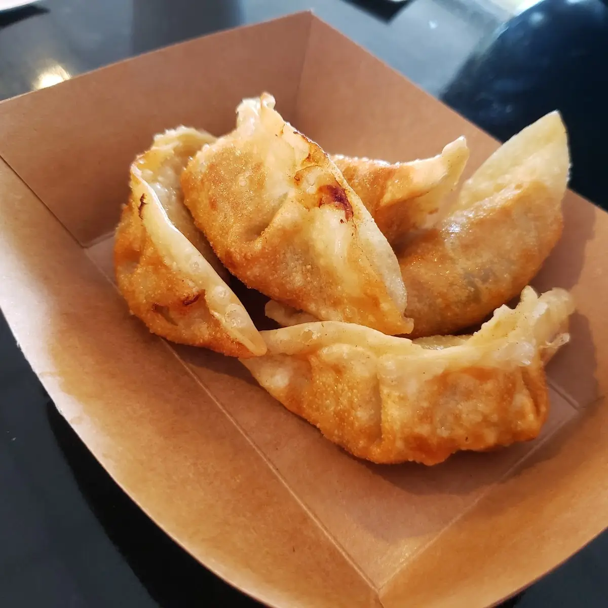 Pan Fried Wontons