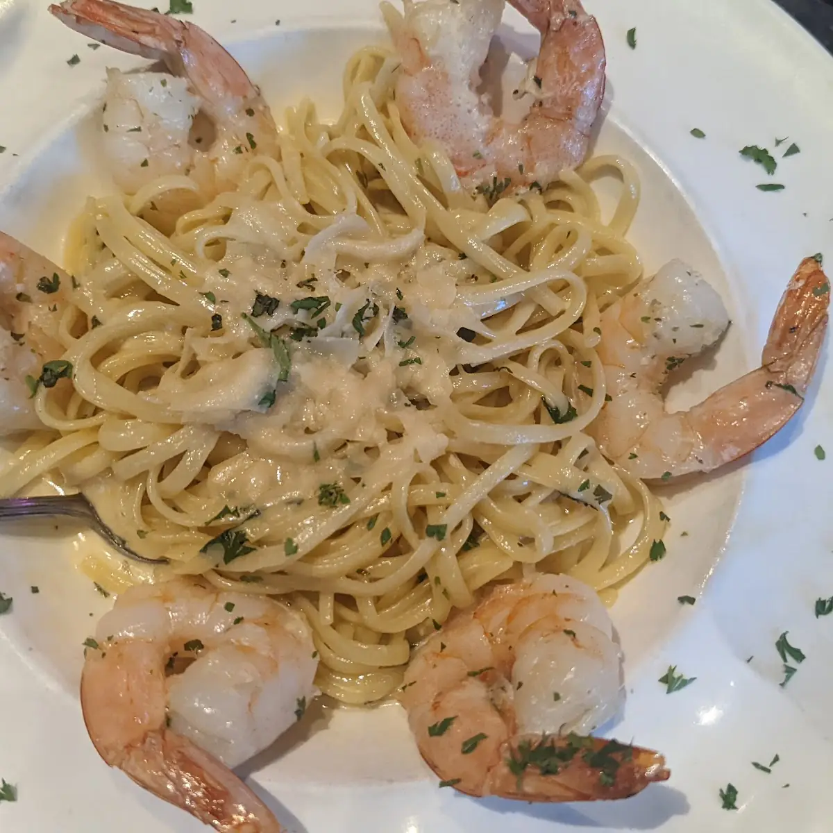 Shrimp Alfredo Pasta