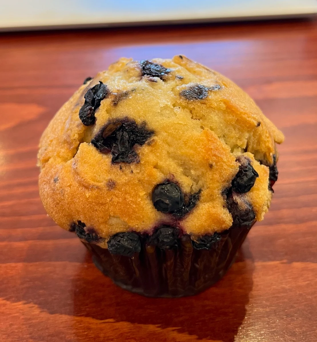 Blueberry Muffin