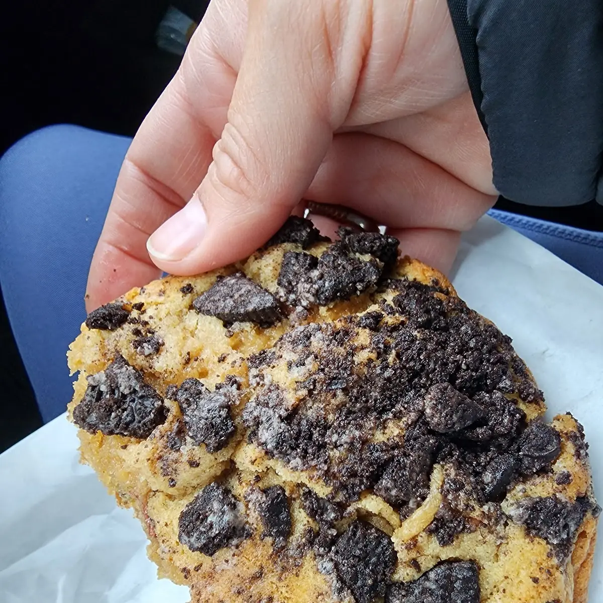 Chocolate Chip