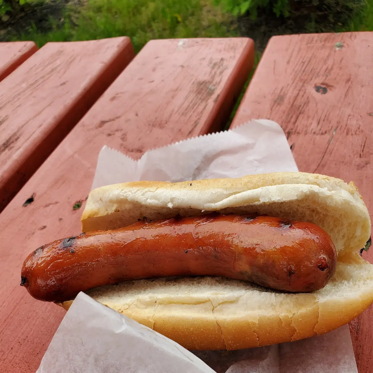 Hot Dog