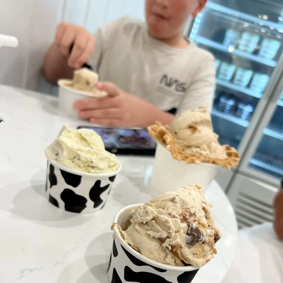 Cookie Dough and Siesta Ice Cream