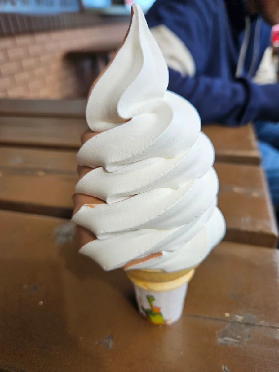 Twin Cone