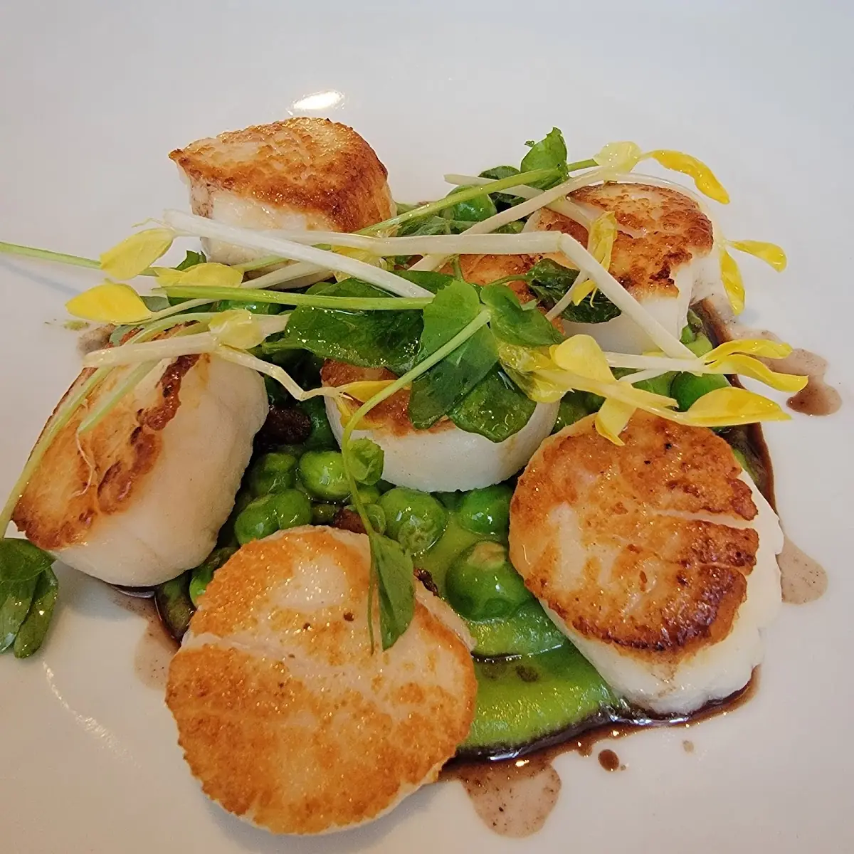 Seared Sea Scallops