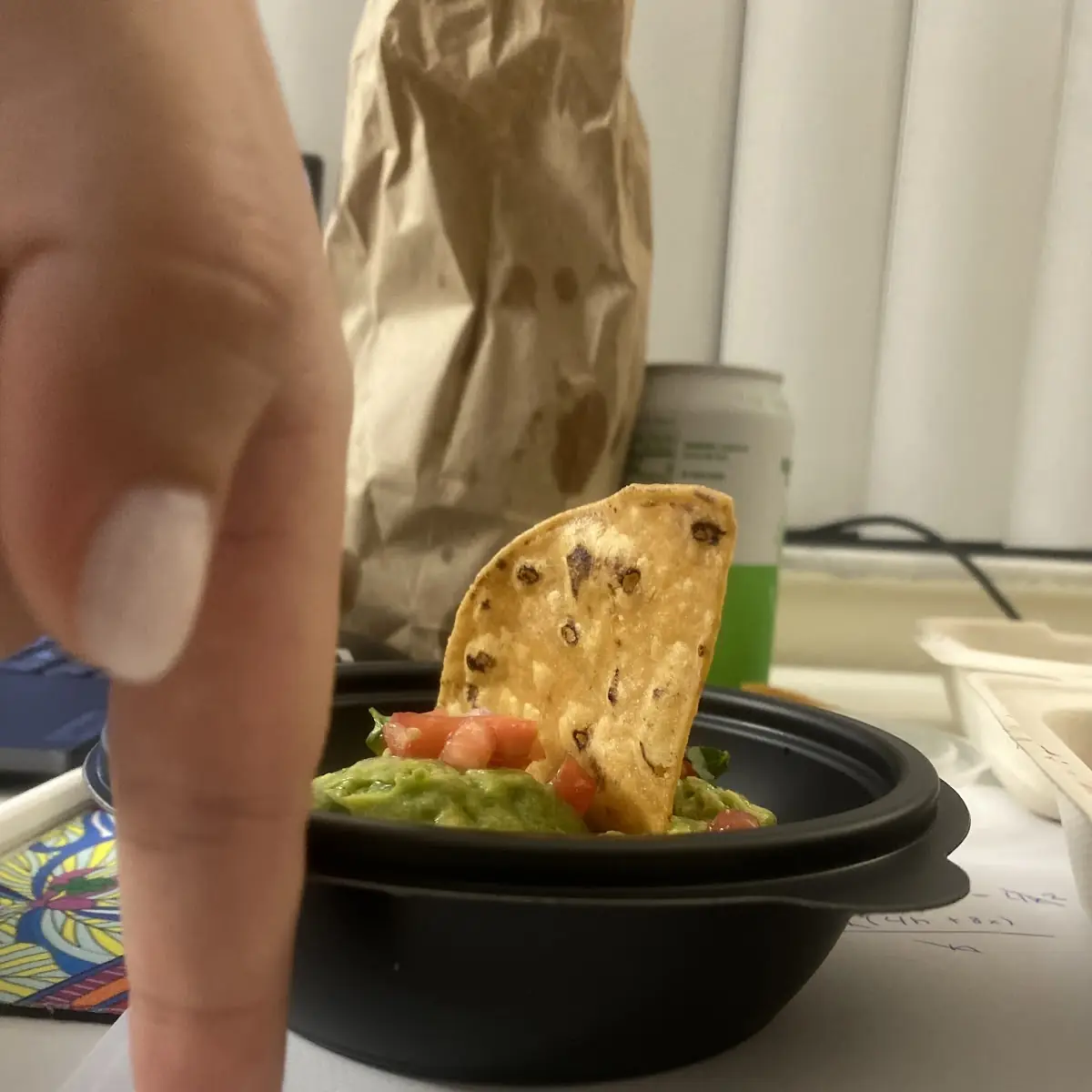 Guacamole Flight