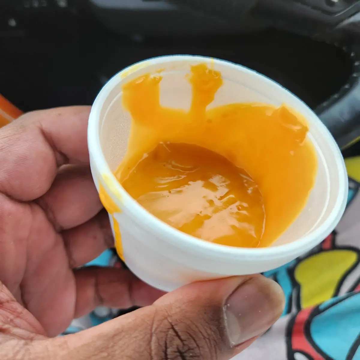 Mango Pudding