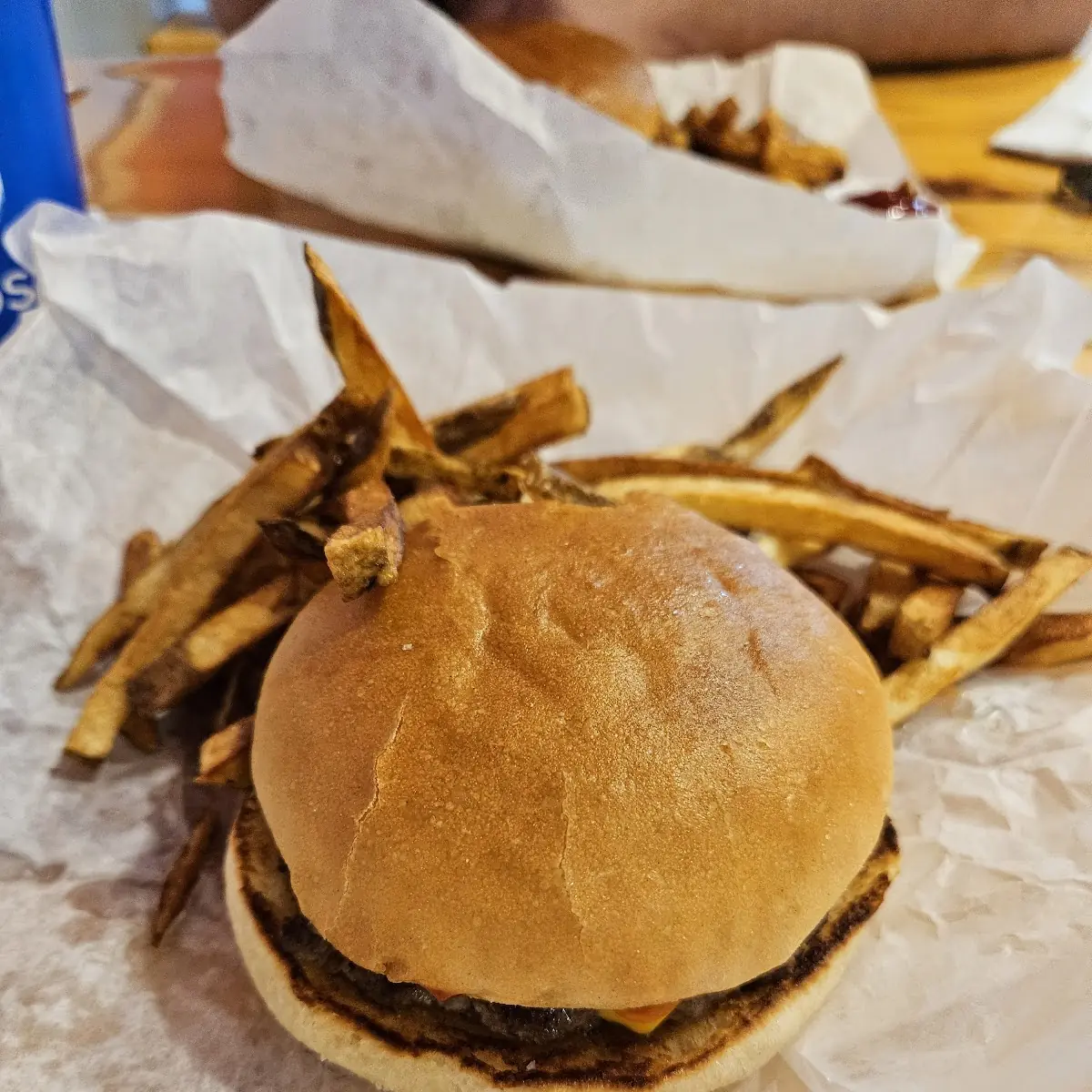 Grass Fed Beef Burger and Handmade Fries