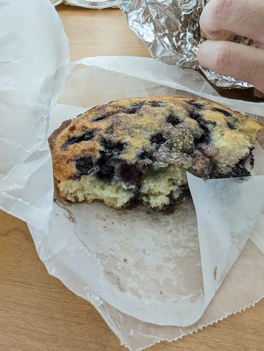 Blueberry Muffin