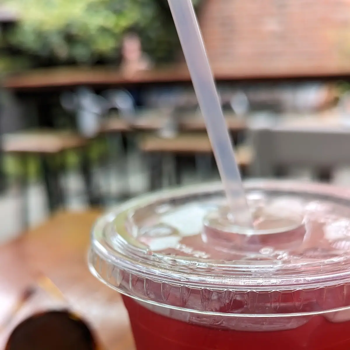Hibiscus Arnold Palmer