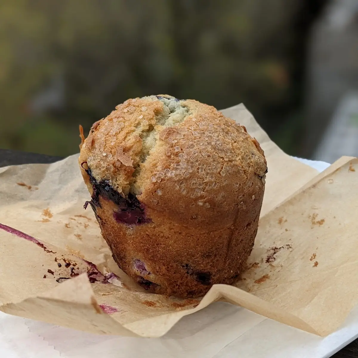 Sour Cream Blueberry Muffin
