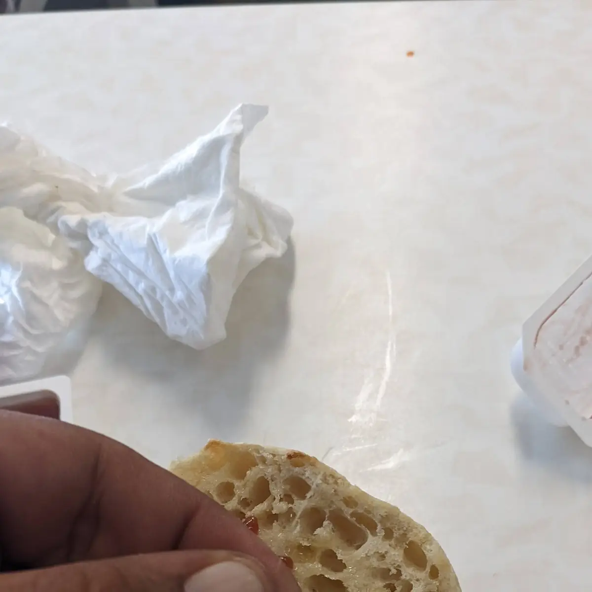 Eggs and Toast Had a White Hair in Cooked Eggs