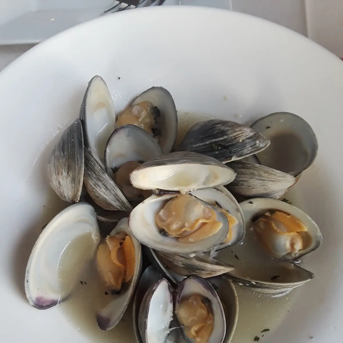 Steamed Clams