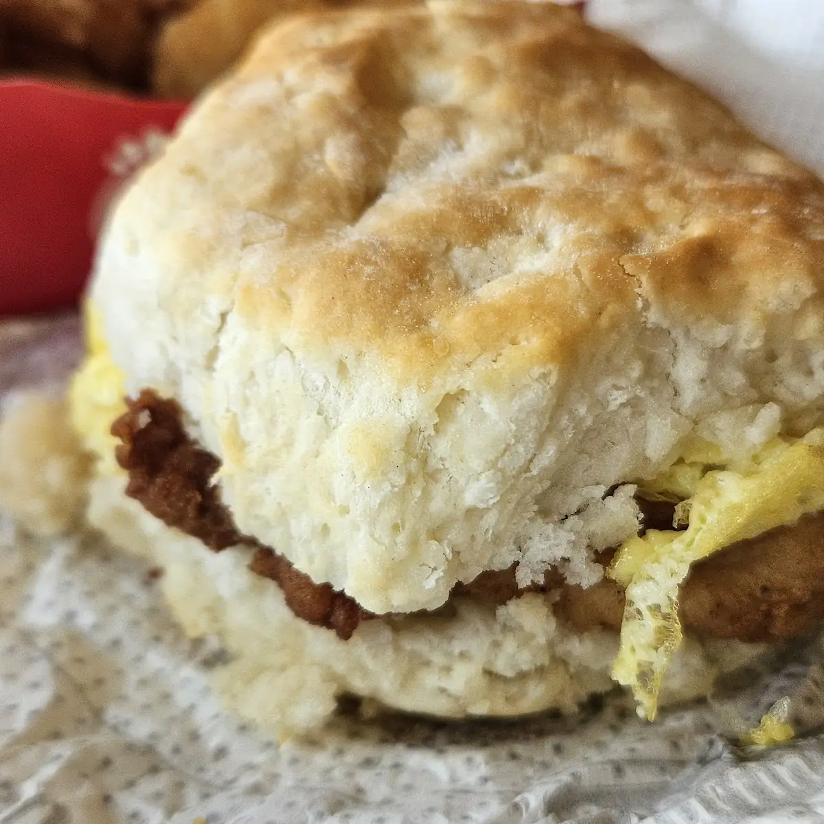 Chicken and Egg Biscuit