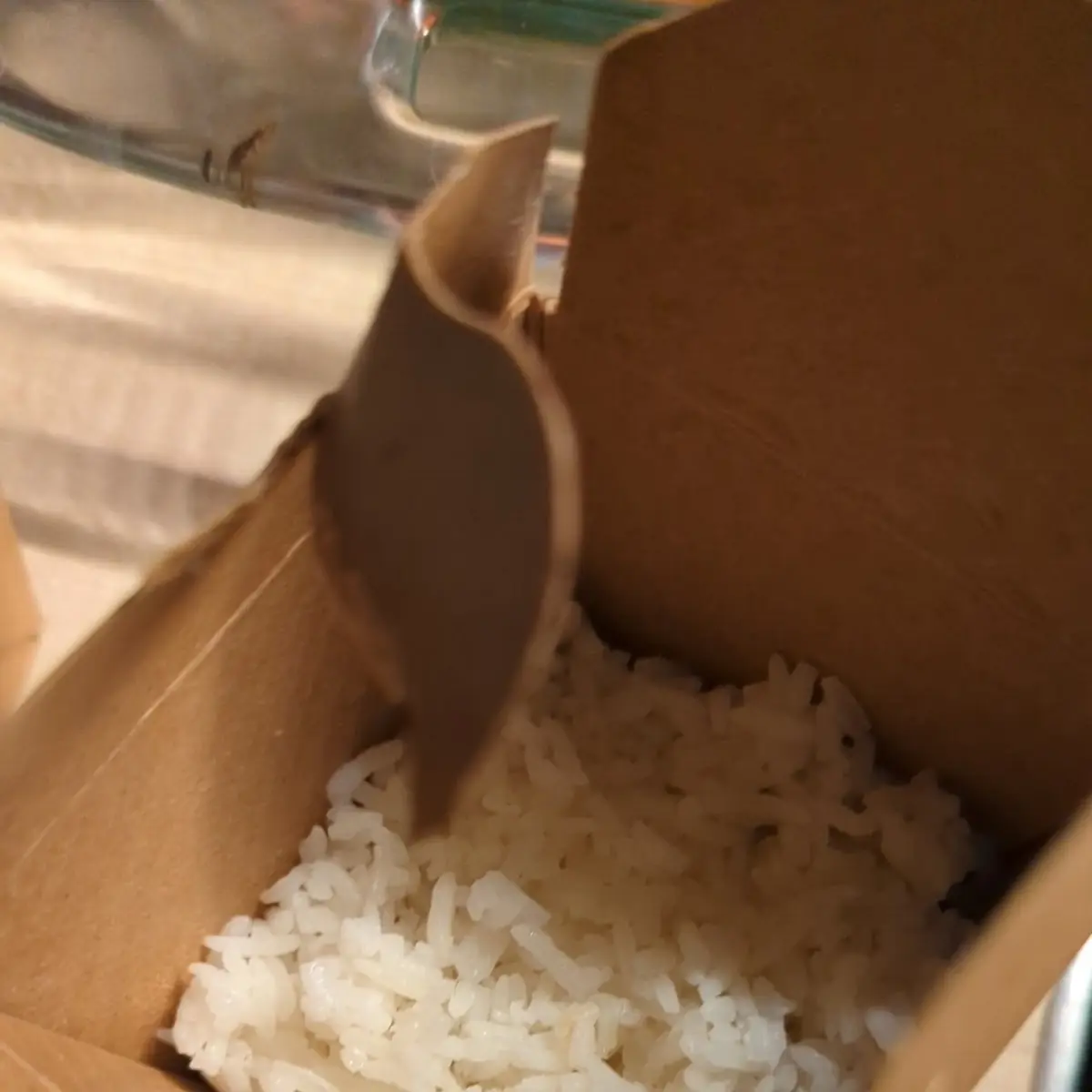 White Rice