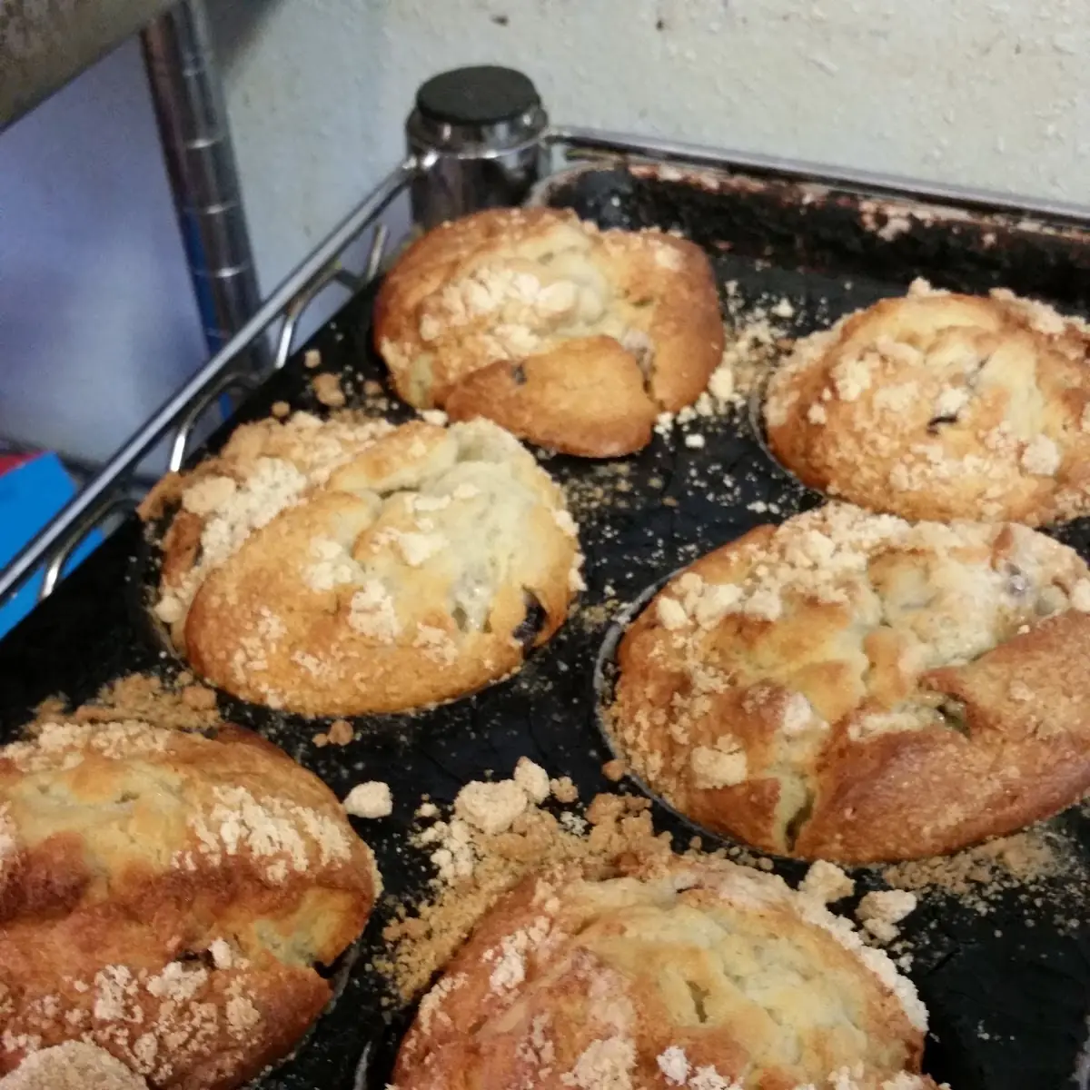 Blueberry Muffins