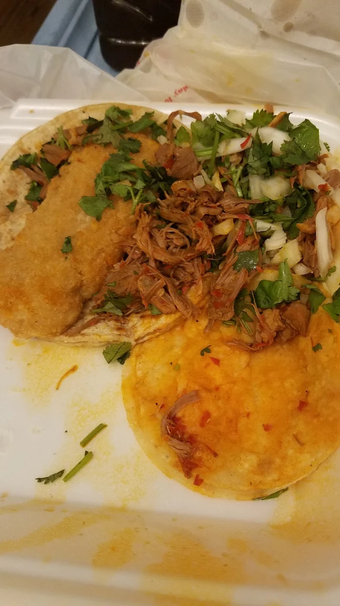 Fish Taco and Barbacoa Taco