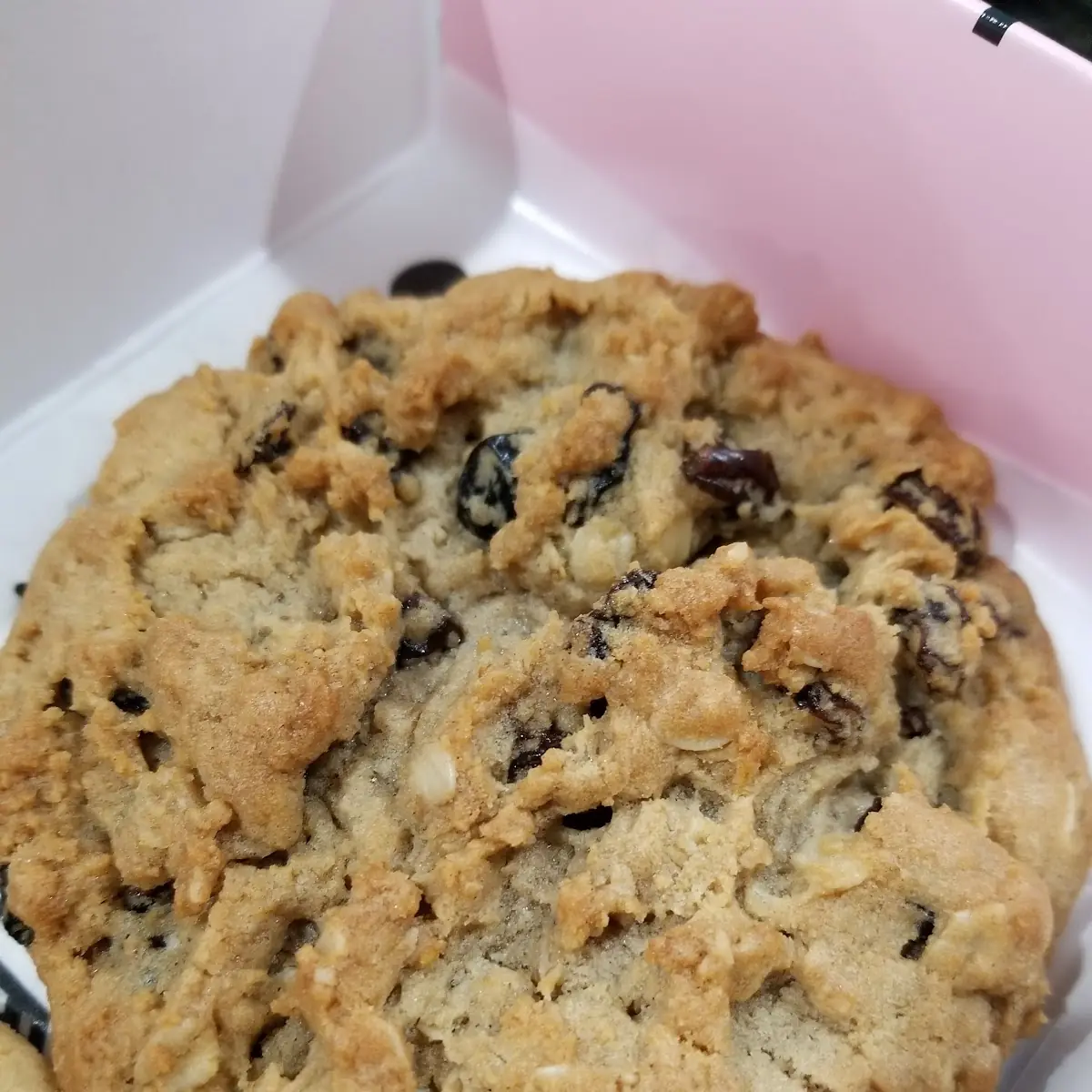 Oatmeal Raisin