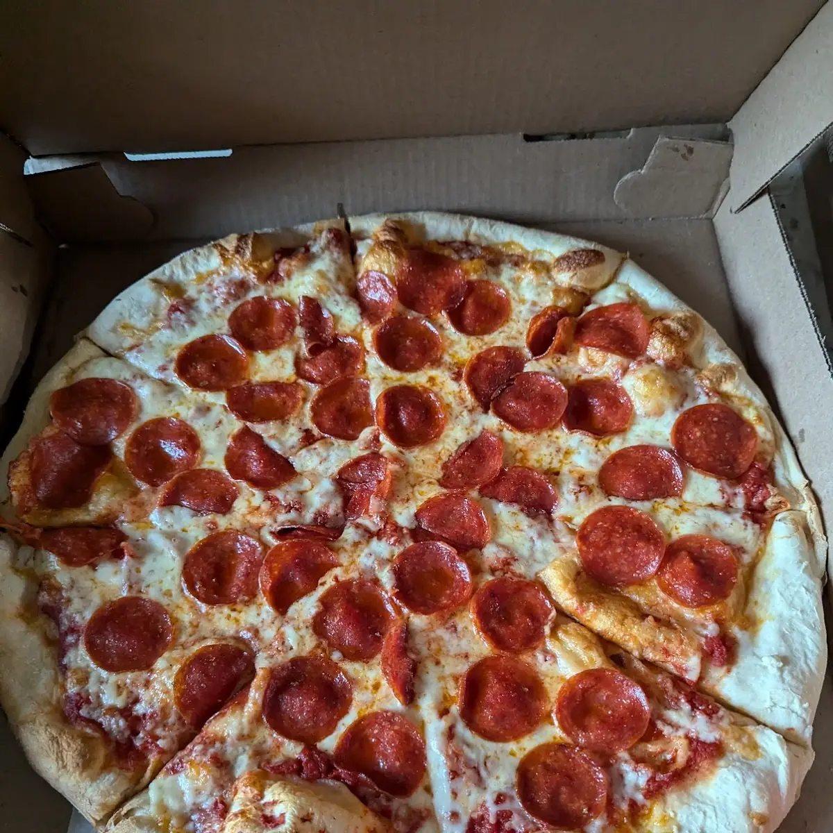 Large Cheese Pepperoni Pizza