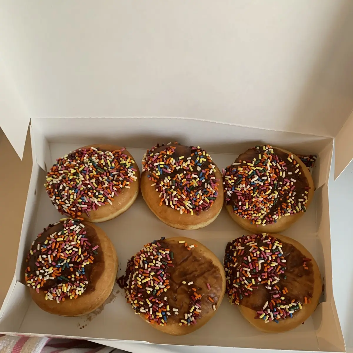 Doughnut