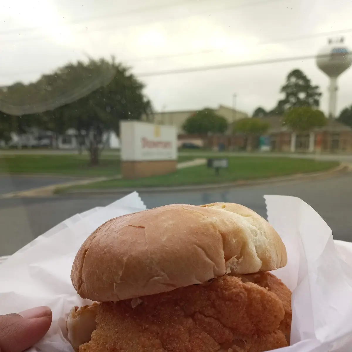Spicy Fish Sandwich