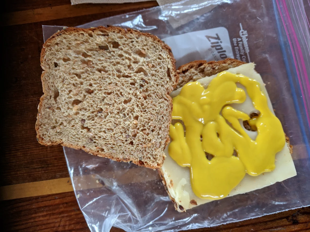 Cheese Sandwich