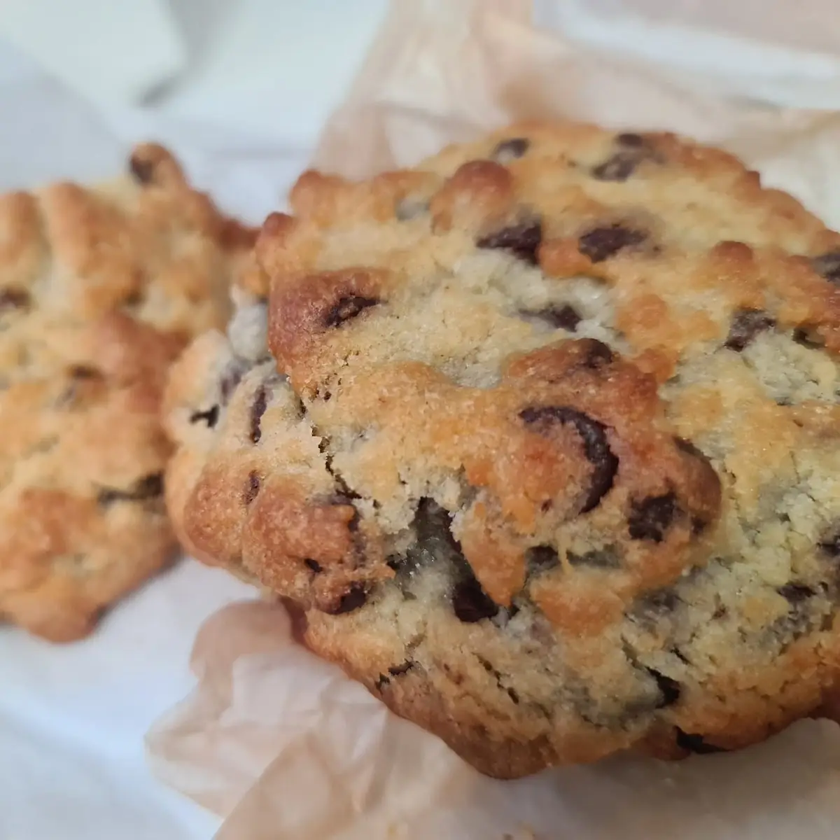 Two Chip Chocolate Chip Cookies