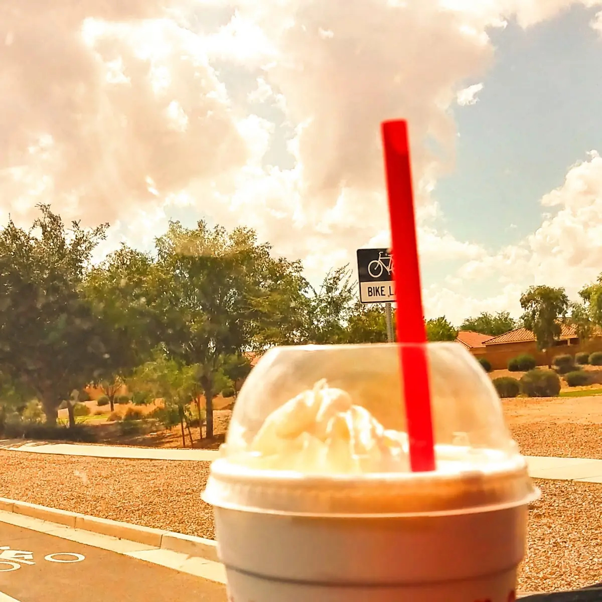 Sonic Oreo Shake