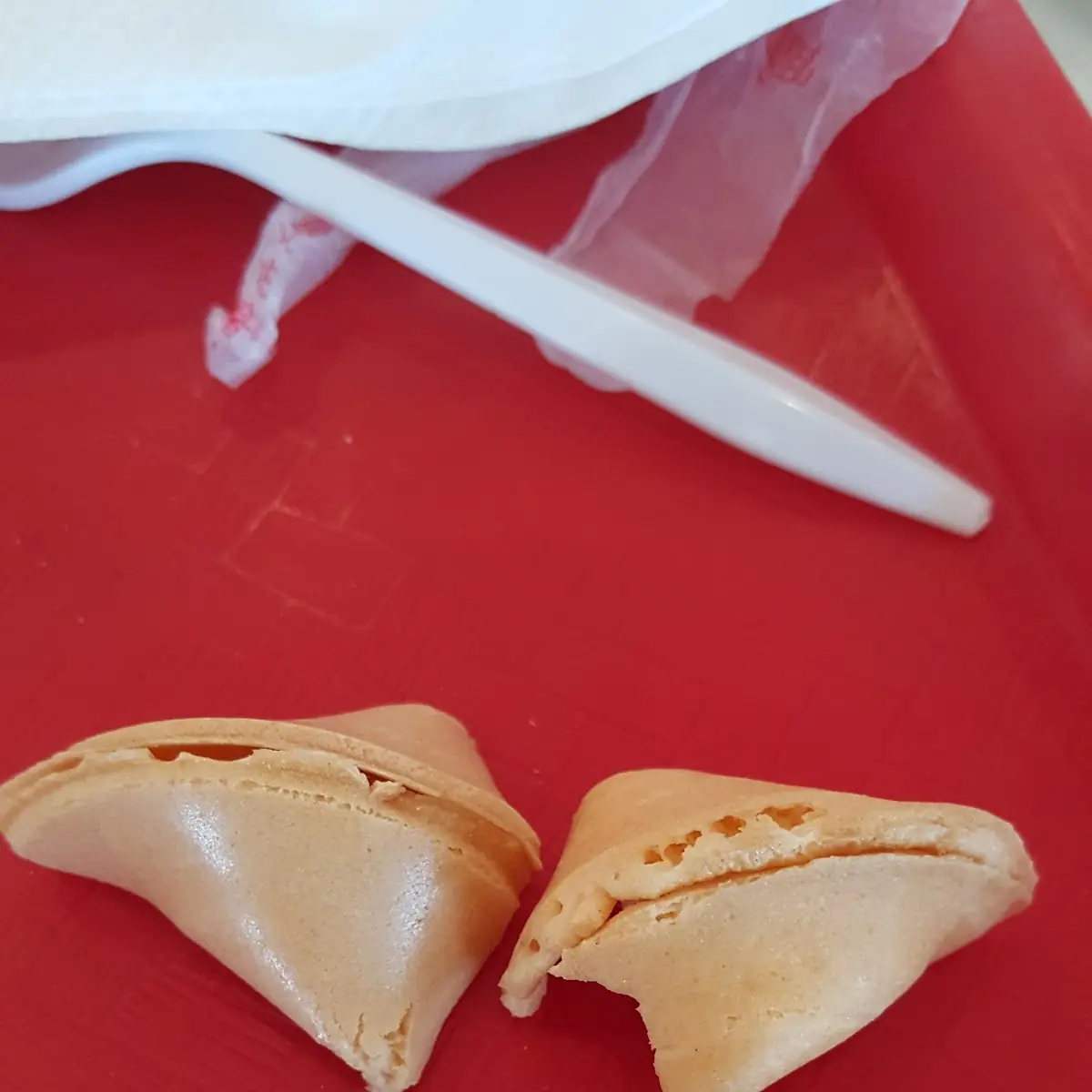 Fortune Cookie
