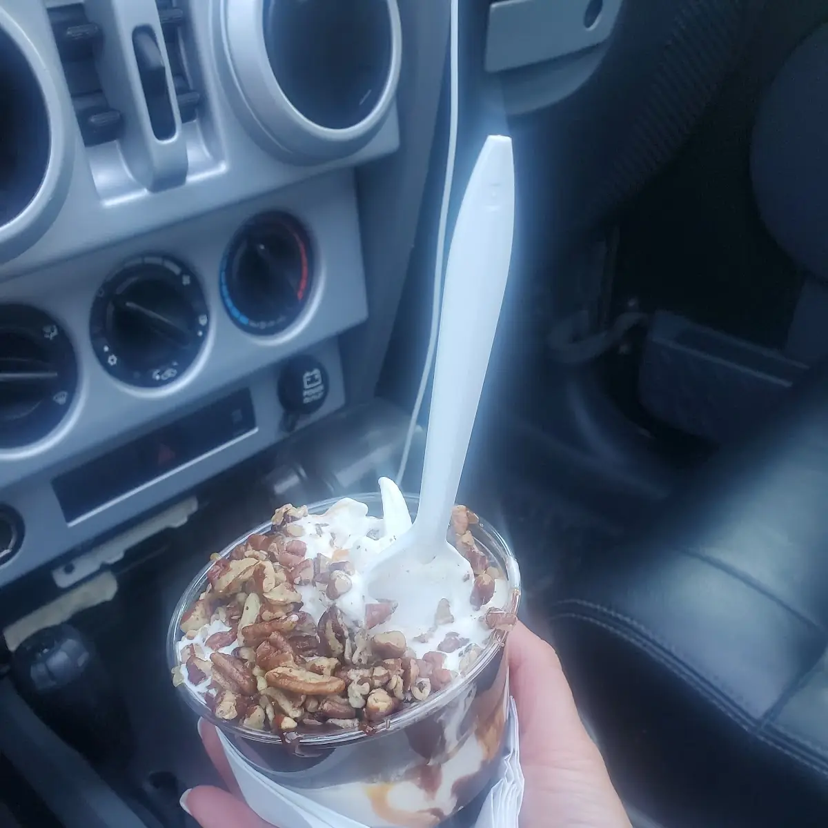 Turtle Sundae