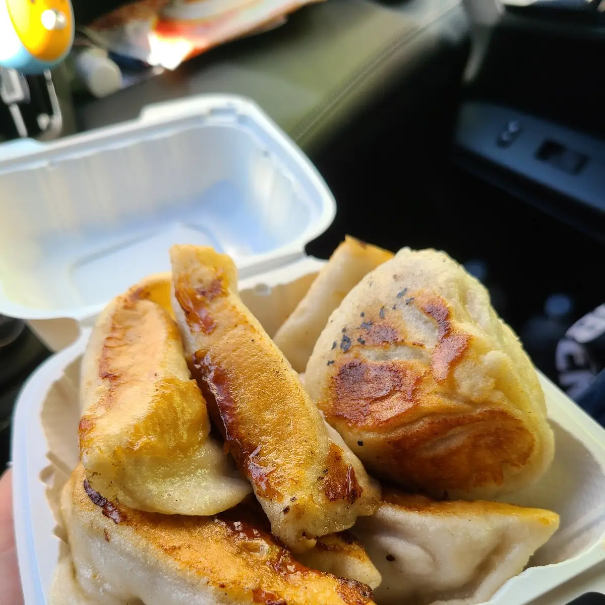 Pan Fried Pork Dumplings