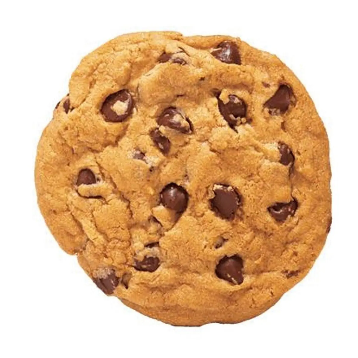 Chocolate Chip Cookie