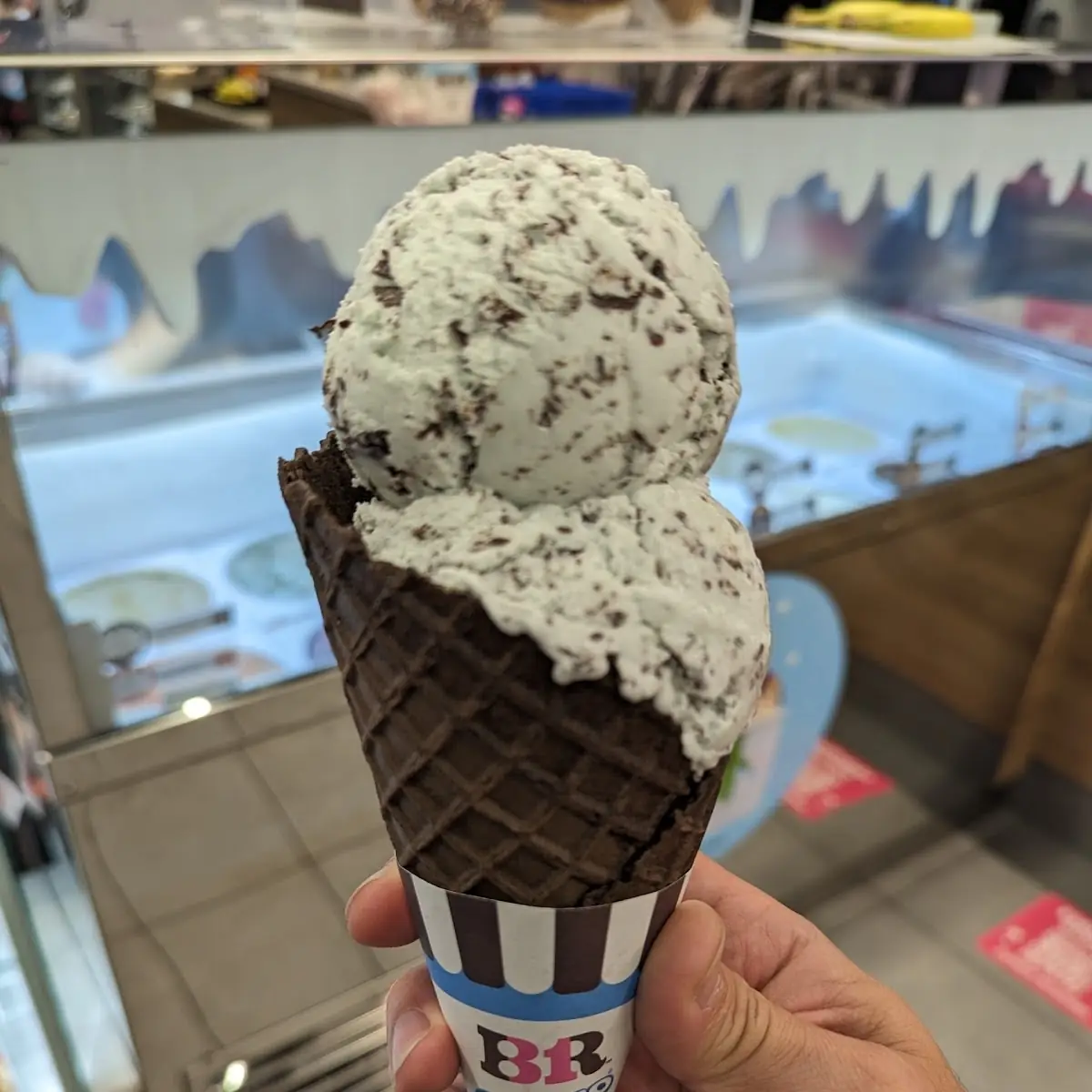 Mint Chocolate Chip on a Chocolate Waffle Cone