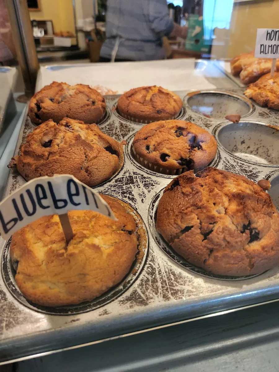 Blueberry Muffin