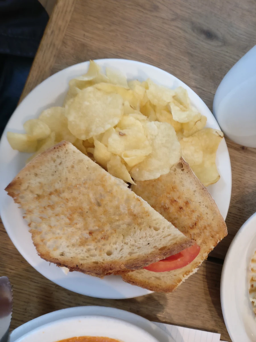 Tomato Mozzarella Panini