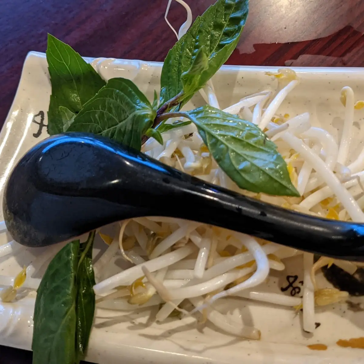 Pho Vegetable Noodle Soup