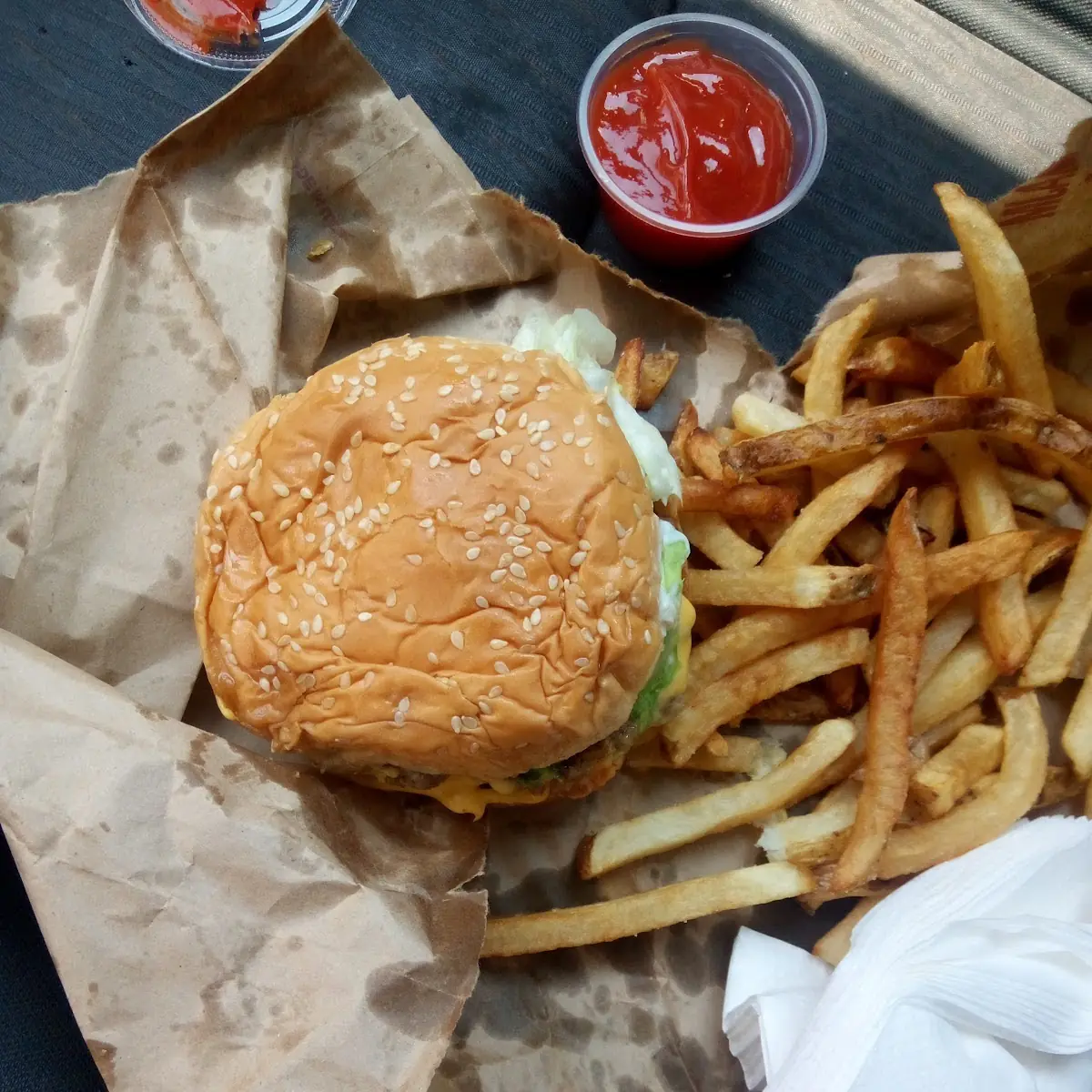 Double Cheeseburger and Fries