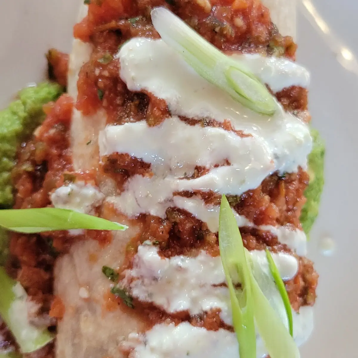 Chicken Burrito