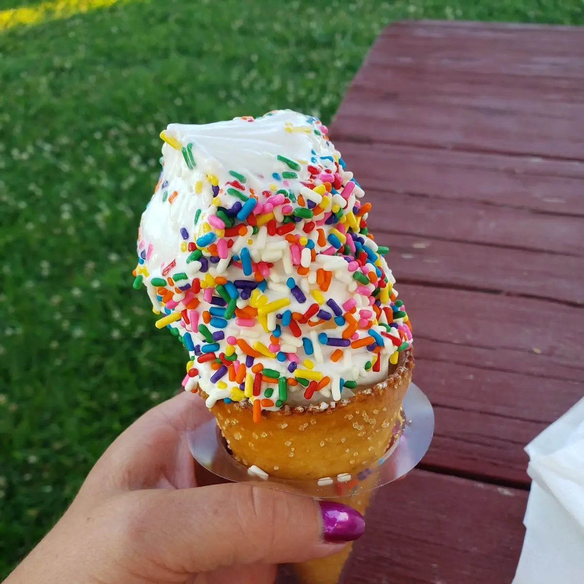 Doughnut