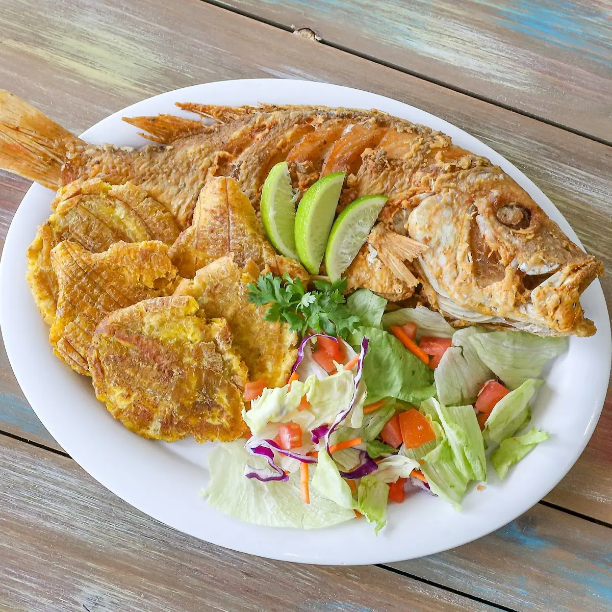 Filete De Tilapia Fish