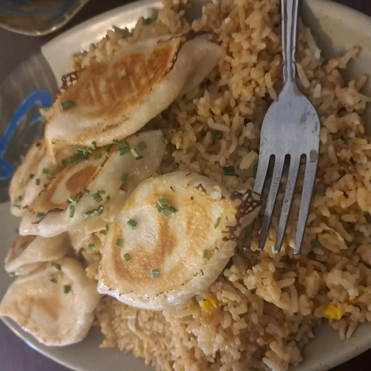 Shrimp Dumplings and Rice Bowl