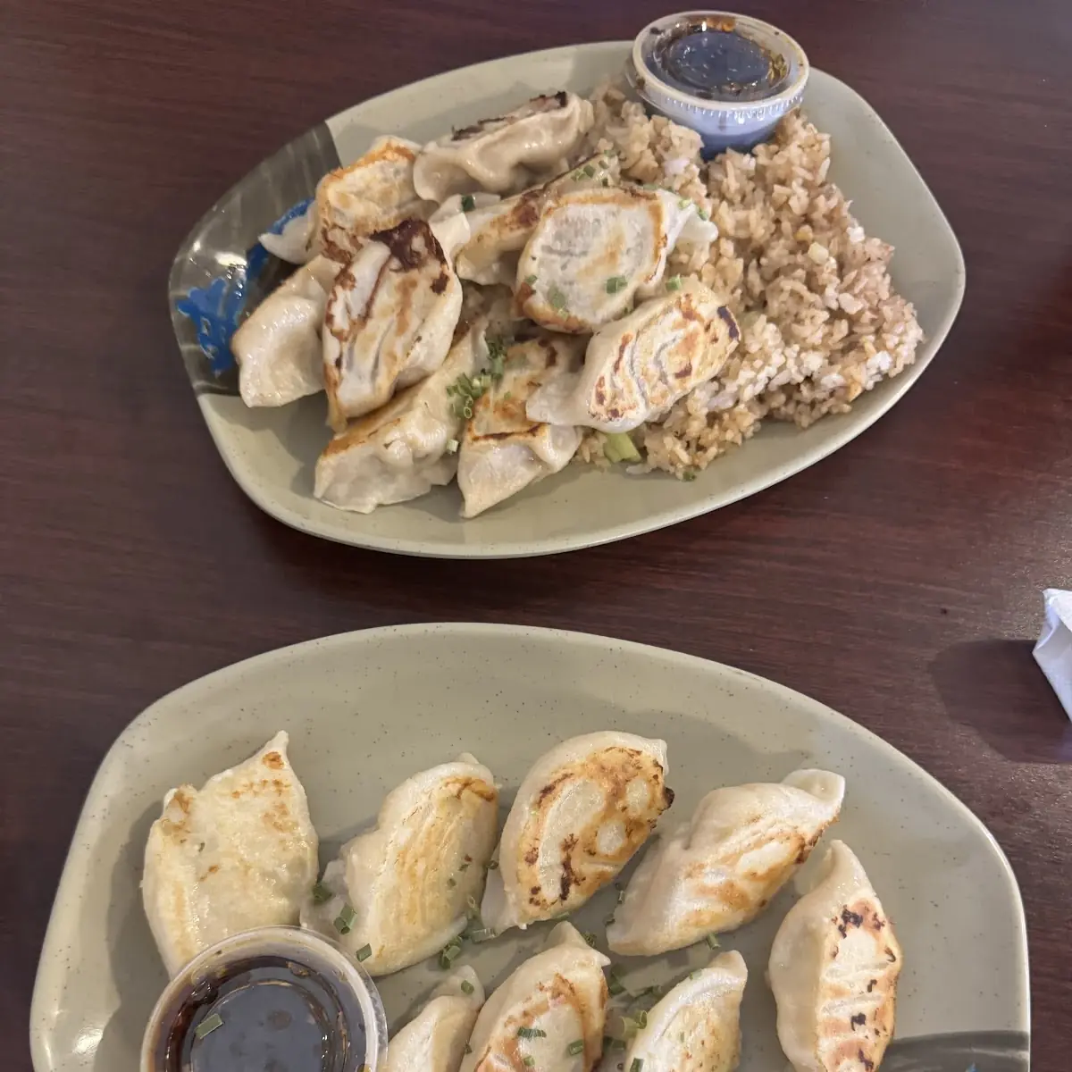 Teriyaki Chicken Dumplings