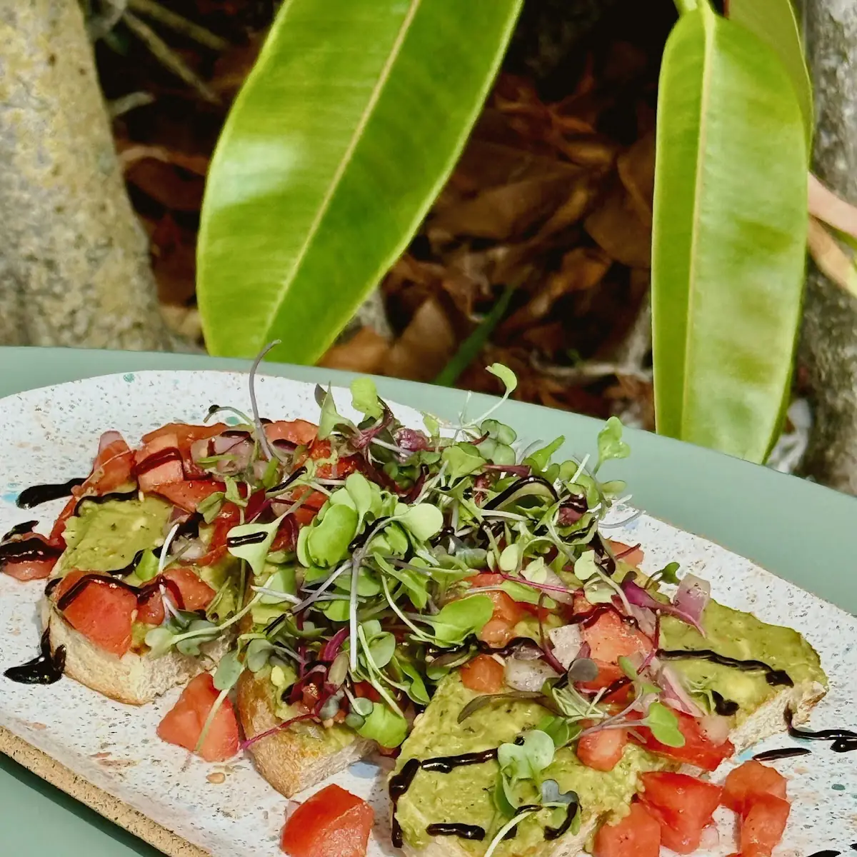 Avocado Toast