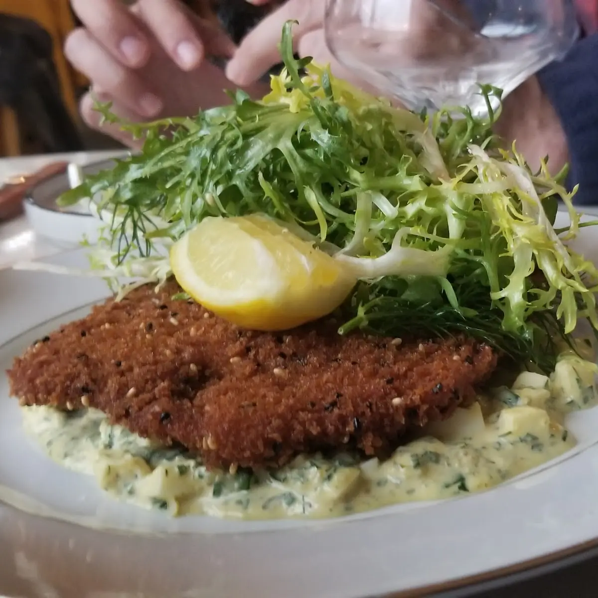 Pork Schnitzel