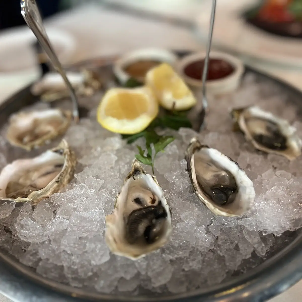 Local Fresh Oysters
