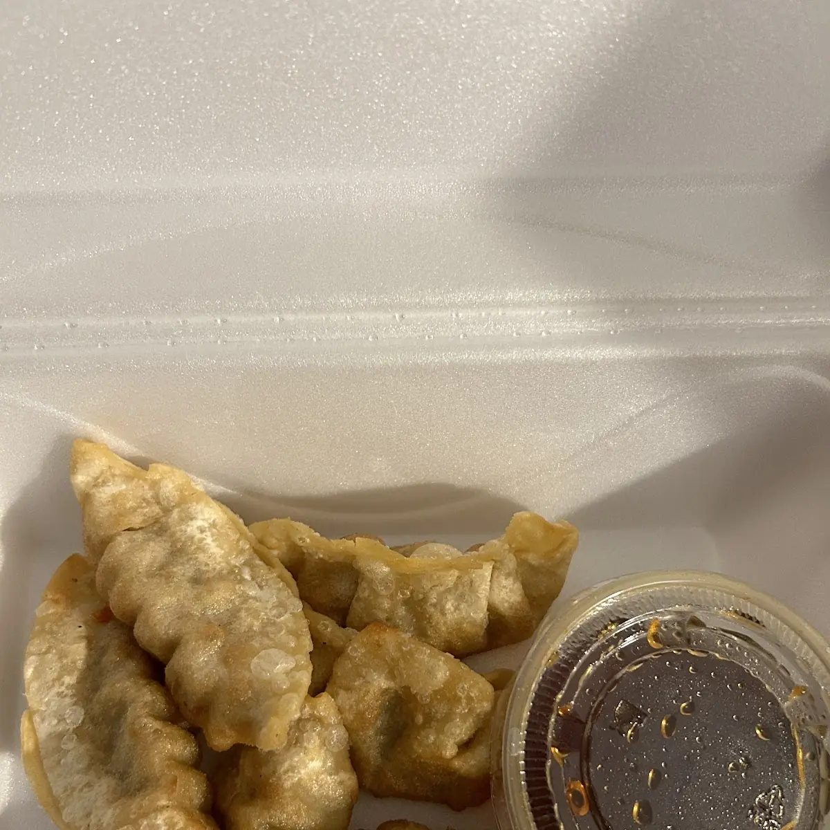 Crispy Dumplings
